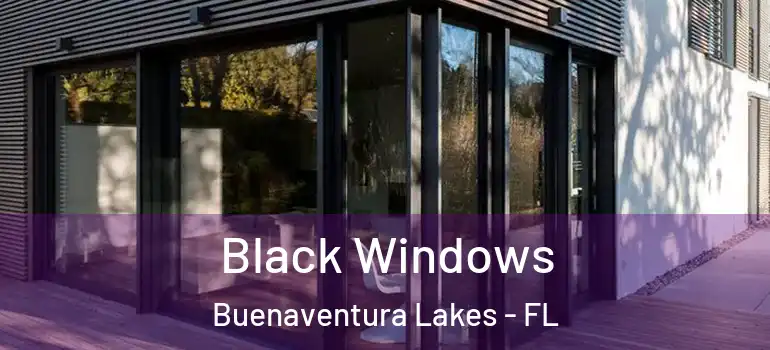 Black Windows Buenaventura Lakes - FL