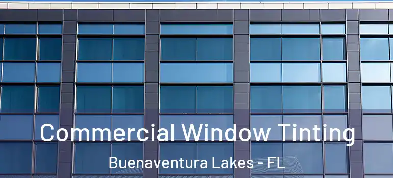 Commercial Window Tinting Buenaventura Lakes - FL