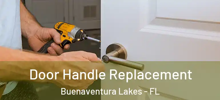 Door Handle Replacement Buenaventura Lakes - FL