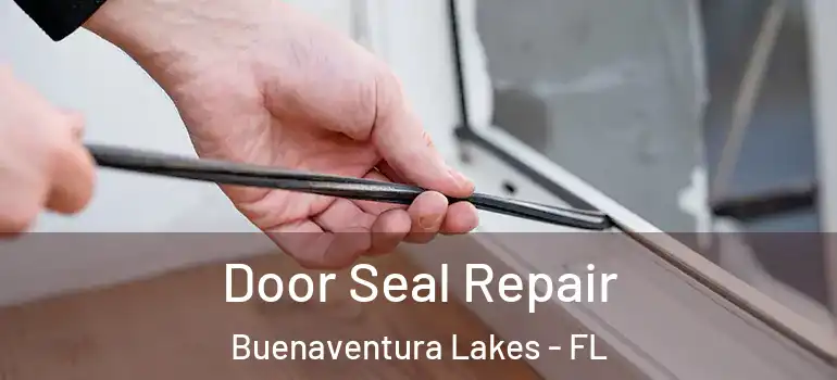 Door Seal Repair Buenaventura Lakes - FL