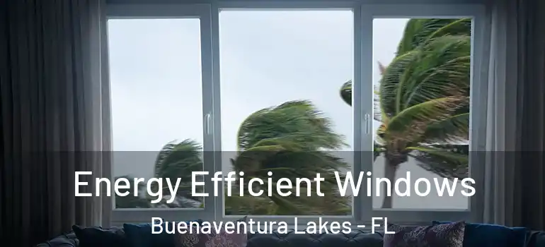 Energy Efficient Windows Buenaventura Lakes - FL
