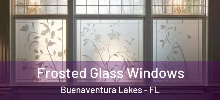 Frosted Glass Windows Buenaventura Lakes - FL