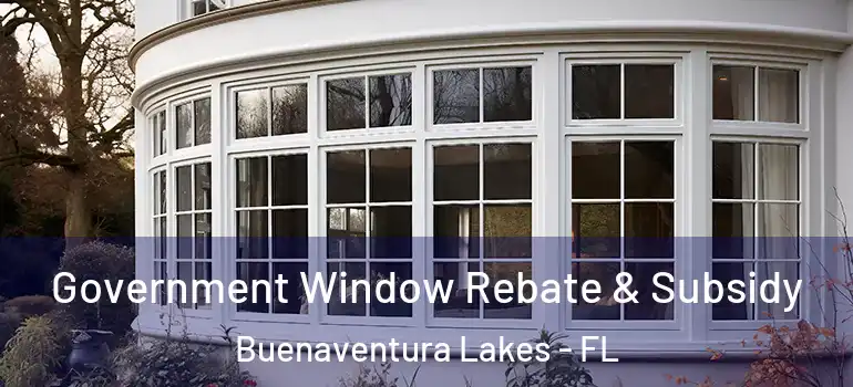 Government Window Rebate & Subsidy Buenaventura Lakes - FL