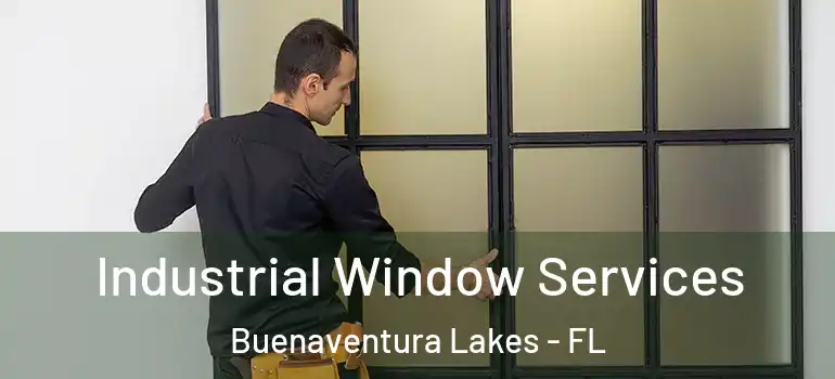 Industrial Window Services Buenaventura Lakes - FL
