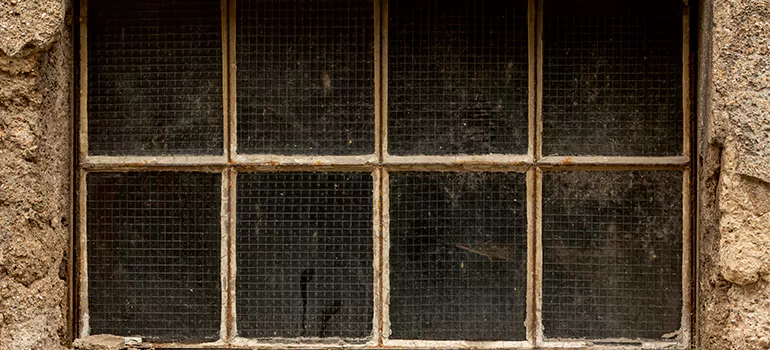 Traditional Double Front Doors in Buenaventura Lakes, FL