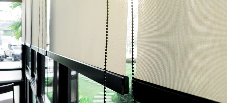 Blackout Window Shades in Buenaventura Lakes, FL