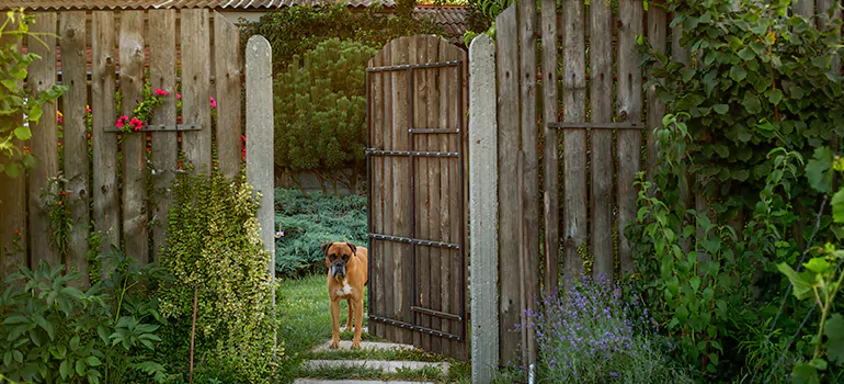 Winter Garden Garage Door Repair in Buenaventura Lakes,[location field=state]