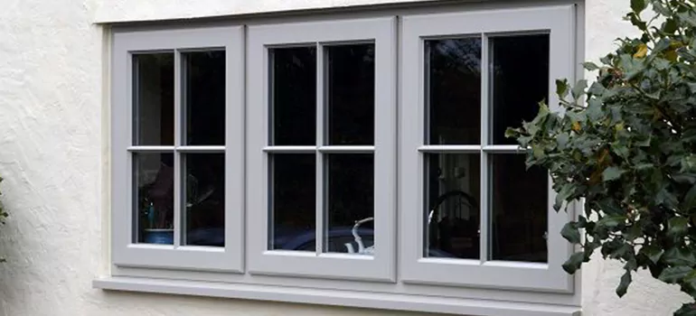 Stormproof Windows With Tinted Glass Services in Buenaventura Lakes, FL