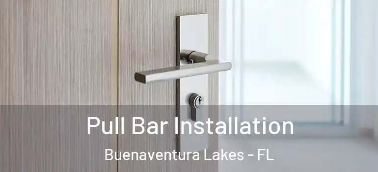 Pull Bar Installation Buenaventura Lakes - FL