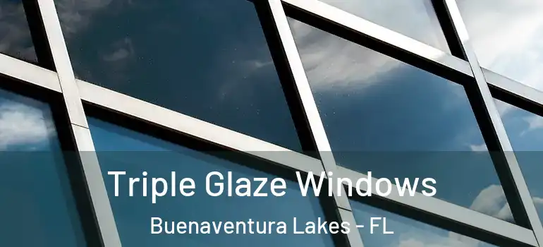 Triple Glaze Windows Buenaventura Lakes - FL