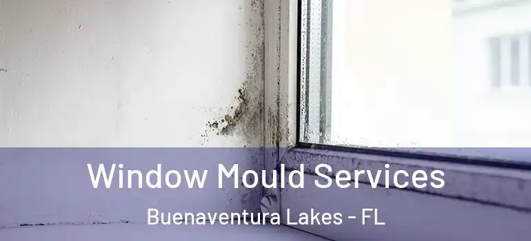 Window Mould Services Buenaventura Lakes - FL