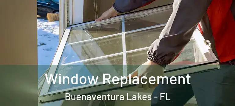 Window Replacement Buenaventura Lakes - FL
