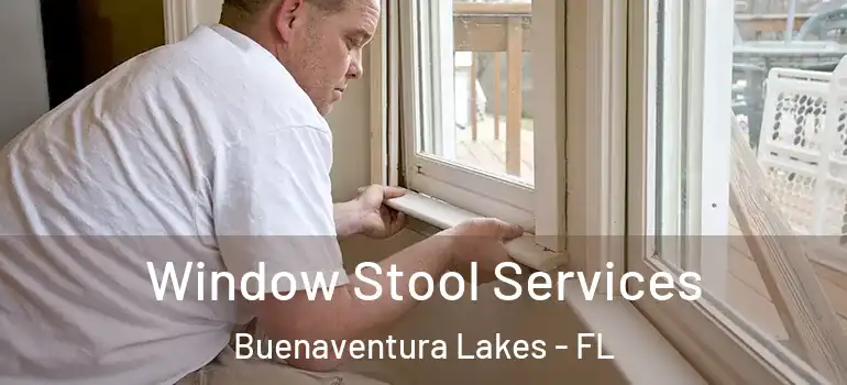 Window Stool Services Buenaventura Lakes - FL